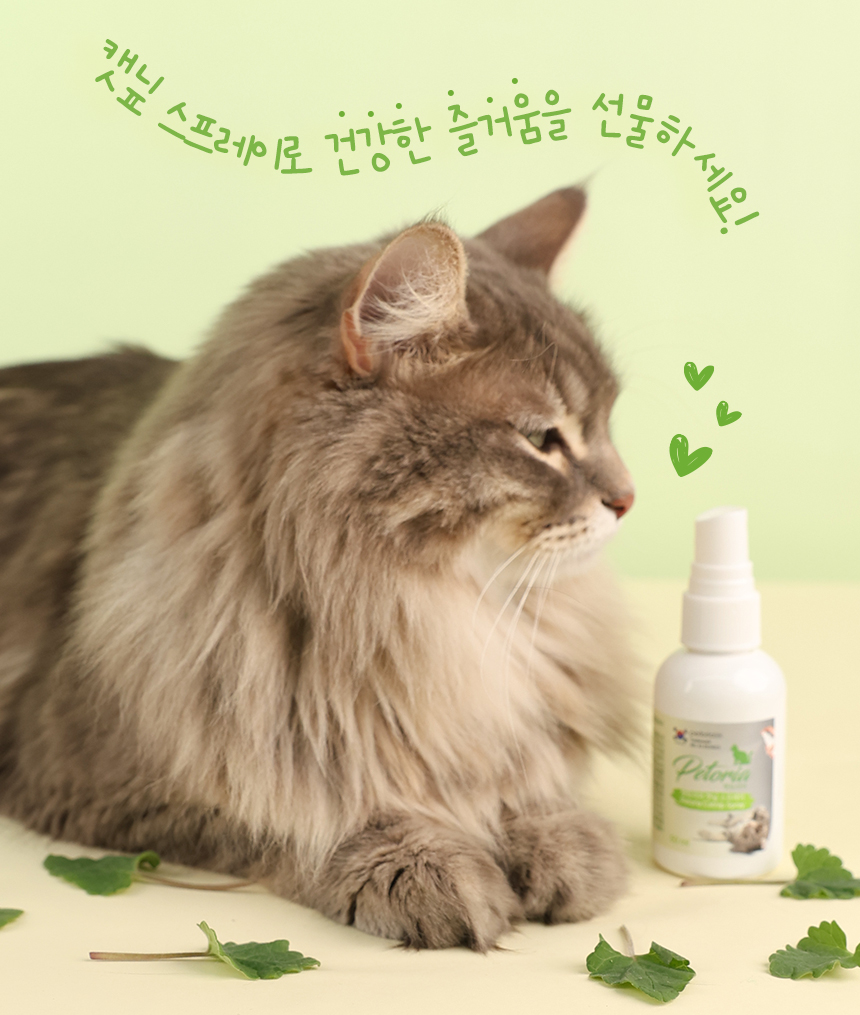 [NEW신상][무료배송] 펫토리아 고양이 장난감 캣닢 뽕파티 스프레이 50ml 11번째