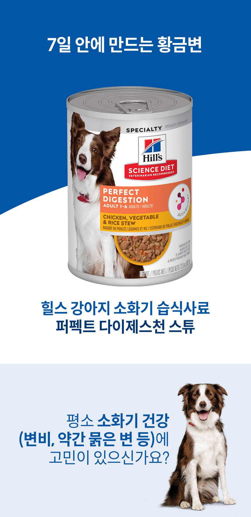힐스 독 어덜트 퍼펙트 다이제스천 치킨&야채 스튜 363g 1번째