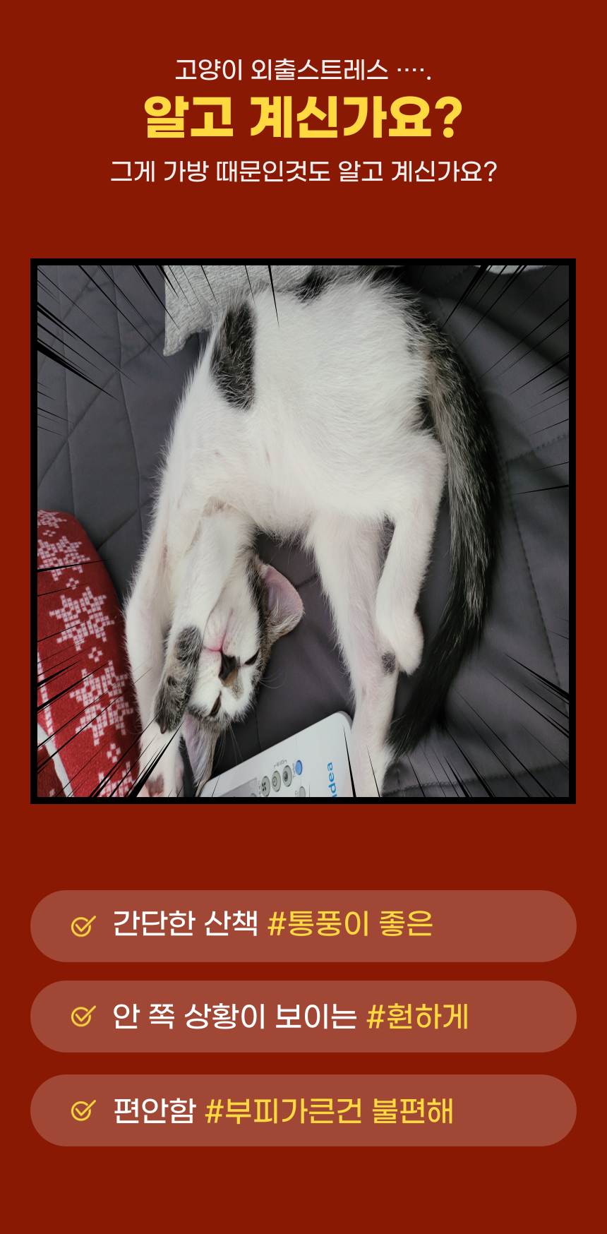 [무료배송] 알뜰펫 산책가방 1번째