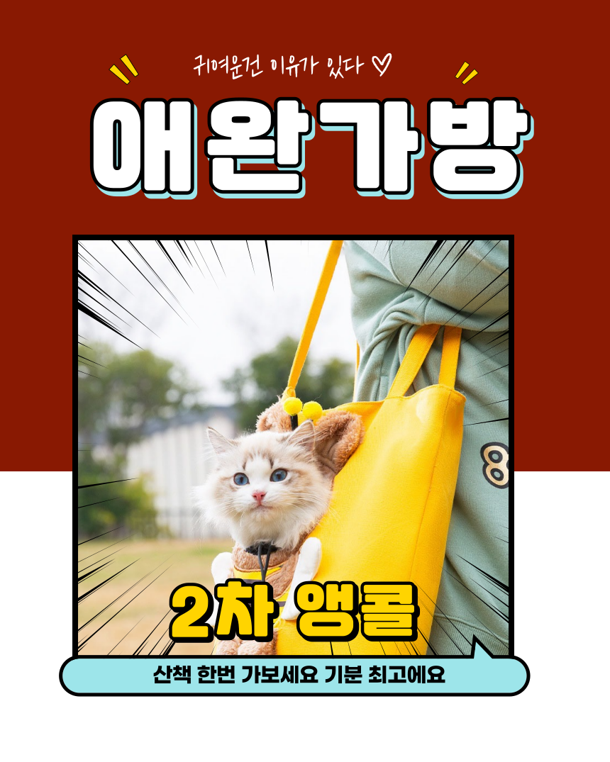 [무료배송] 알뜰펫 산책가방 5번째