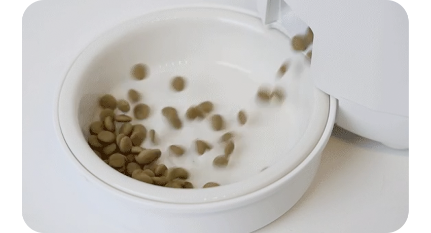 [브랜드전][무료배송] 페키움 강아지 고양이 자동 급식기 도자기 밥그릇  (어뎁터증정) 12번째