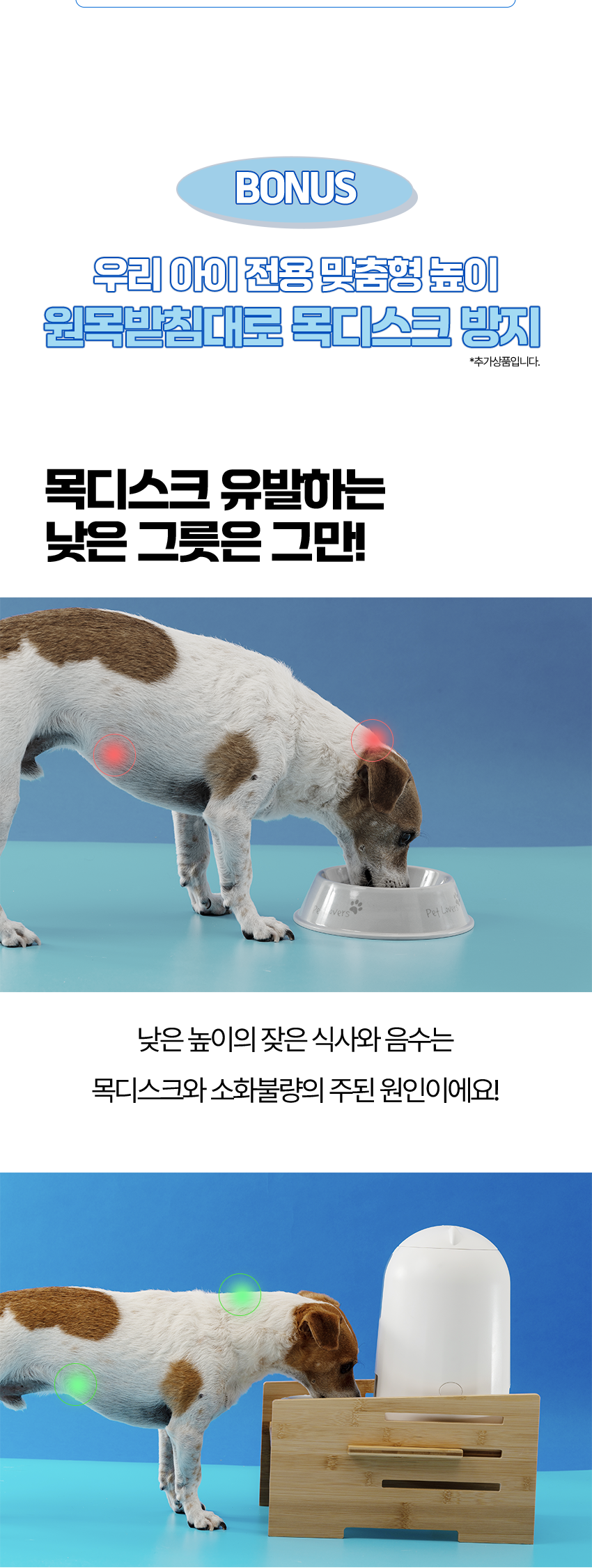 [무료배송] 페키움 강아지 고양이 자동 급식기 도자기 밥그릇  (어뎁터증정) 18번째