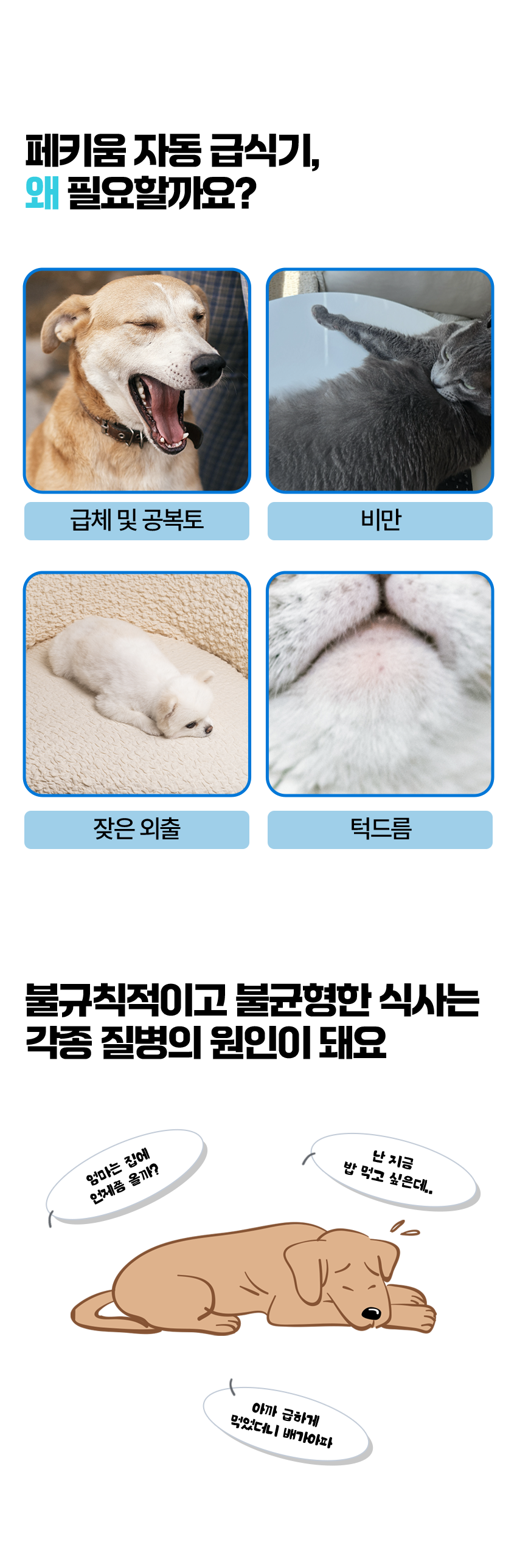 [무료배송] 페키움 강아지 고양이 자동 급식기 도자기 밥그릇  (어뎁터증정) 5번째