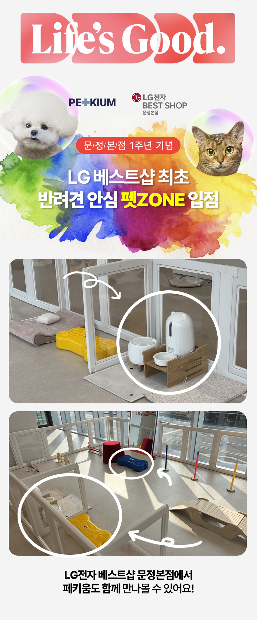 [브랜드전][무료배송] 페키움 강아지 고양이 자동 급식기 도자기 밥그릇  (어뎁터증정) 2번째