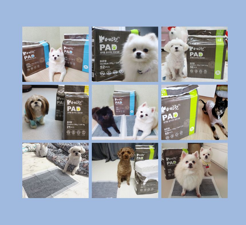 [무료배송] 에코펫위드 냄새잡는 참숯성분 에코패드 기본형 104매 (50x40cm) 3번째