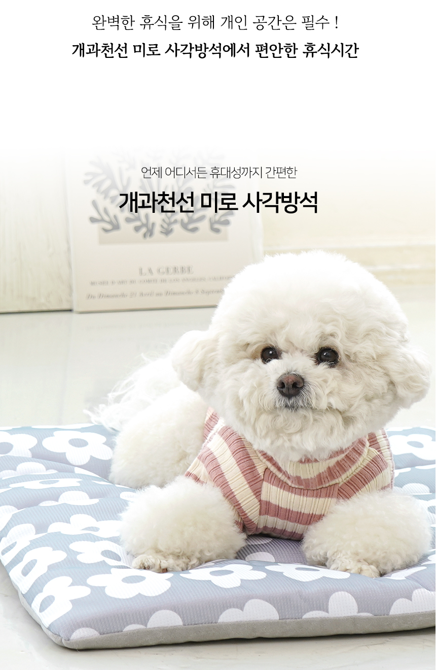 [NEW신상][무료배송] 개과천선 미로 사각 방석 (소형/중형/대형) 3번째