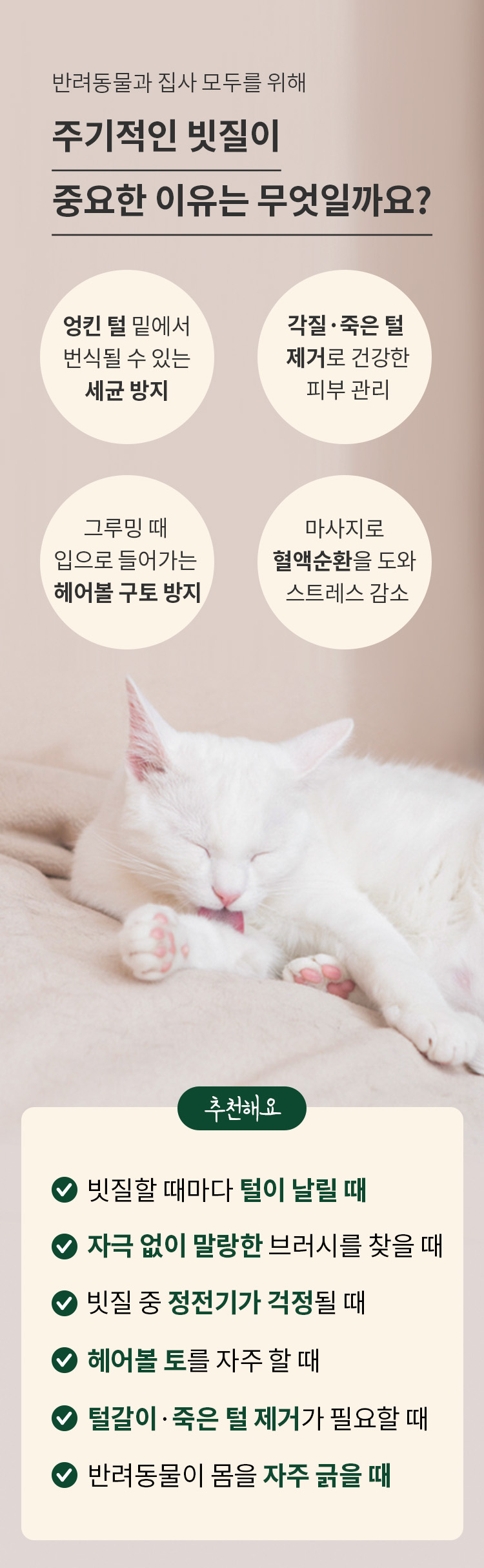 [무료배송] 펫쉴드 수분 미스트 스팀 브러시 4번째