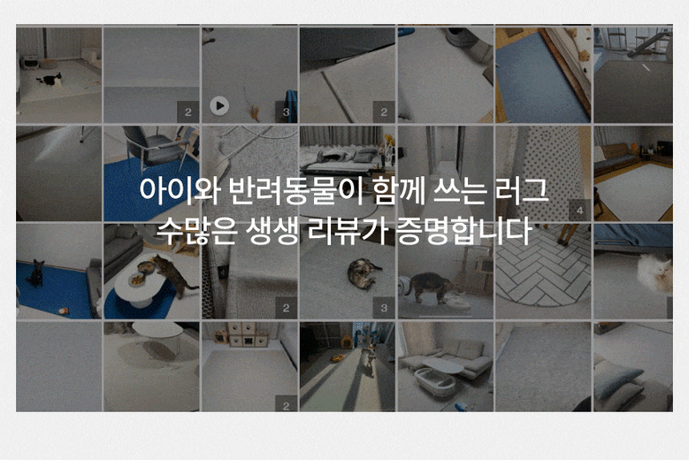 [NEW신상][무료배송] 체고케어 루체 생활 방수 러그 펫매트 16color 17번째