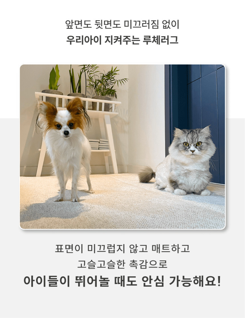 [무료배송] 체고케어 루체 생활 방수 러그 펫매트 16color 58번째