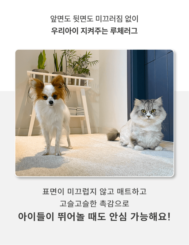 [NEW신상][무료배송] 체고케어 루체 생활 방수 러그 펫매트 16color 51번째