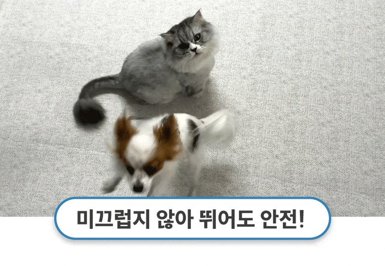[NEW신상][무료배송] 체고케어 루체 생활 방수 러그 펫매트 16color 11번째