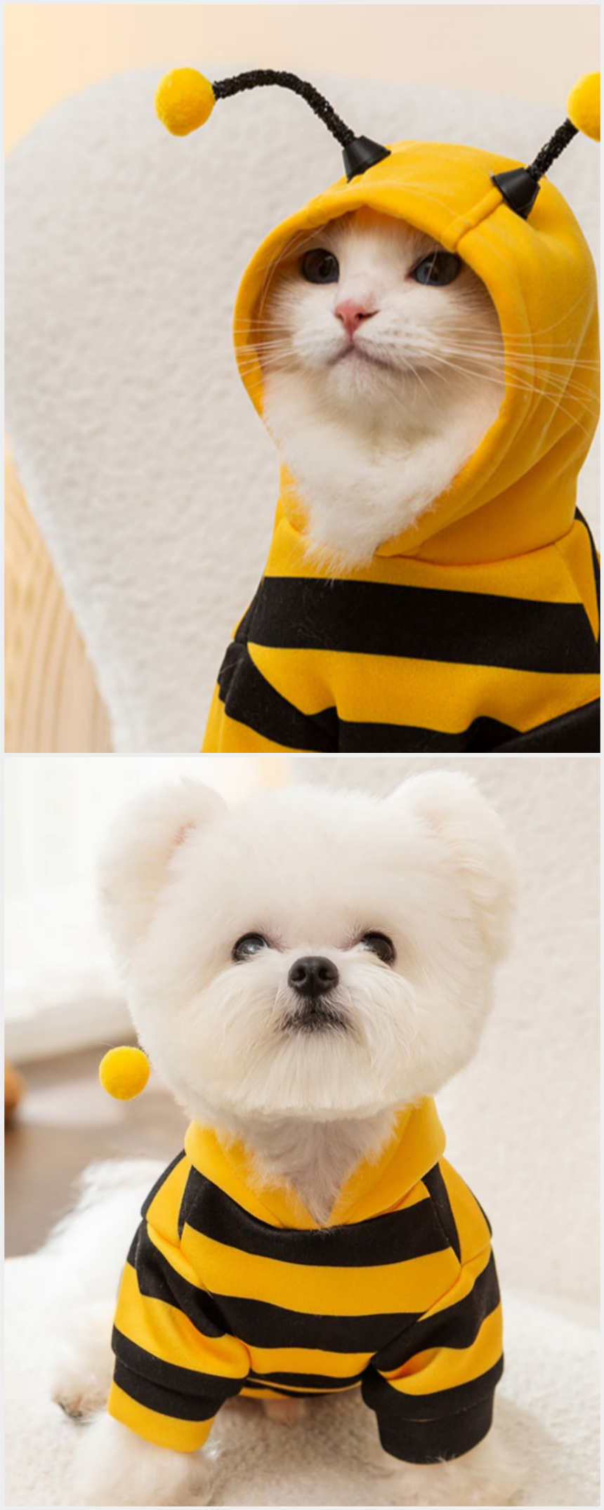 [무료배송] 알뜰펫 꿀벌후드 S-2XL 4번째
