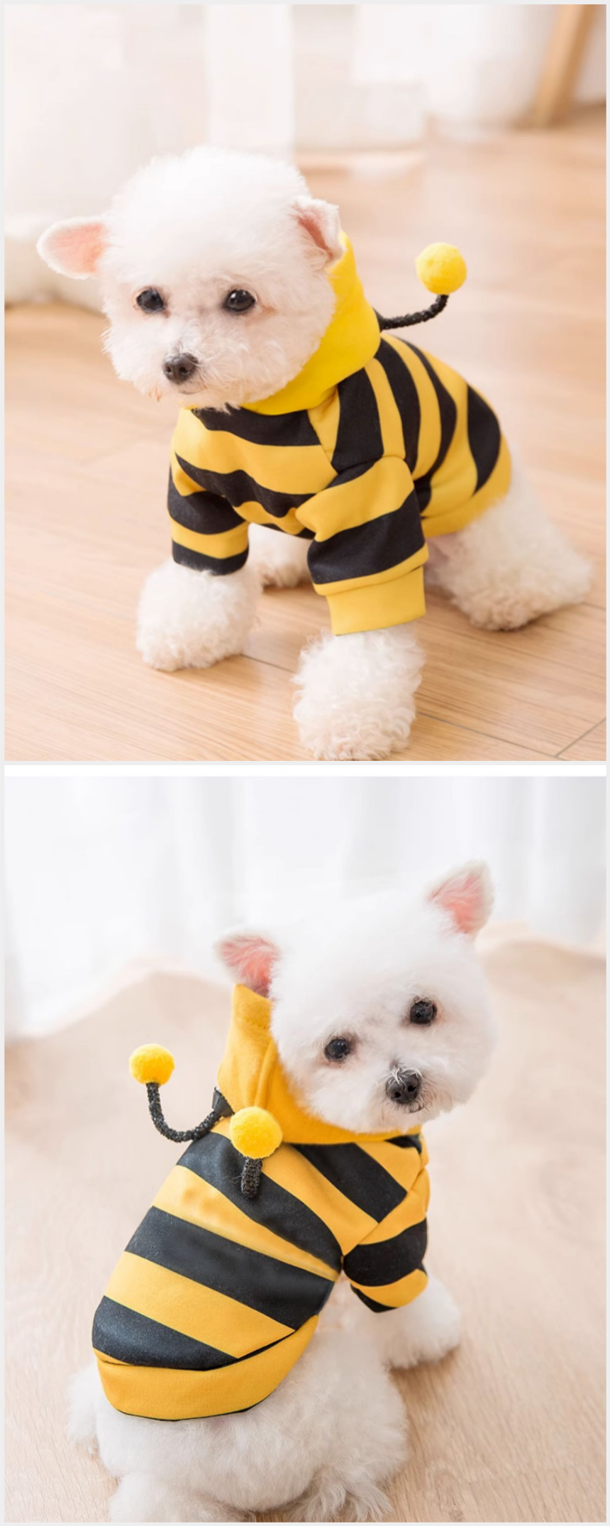 [무료배송] 알뜰펫 꿀벌후드 S-2XL 7번째