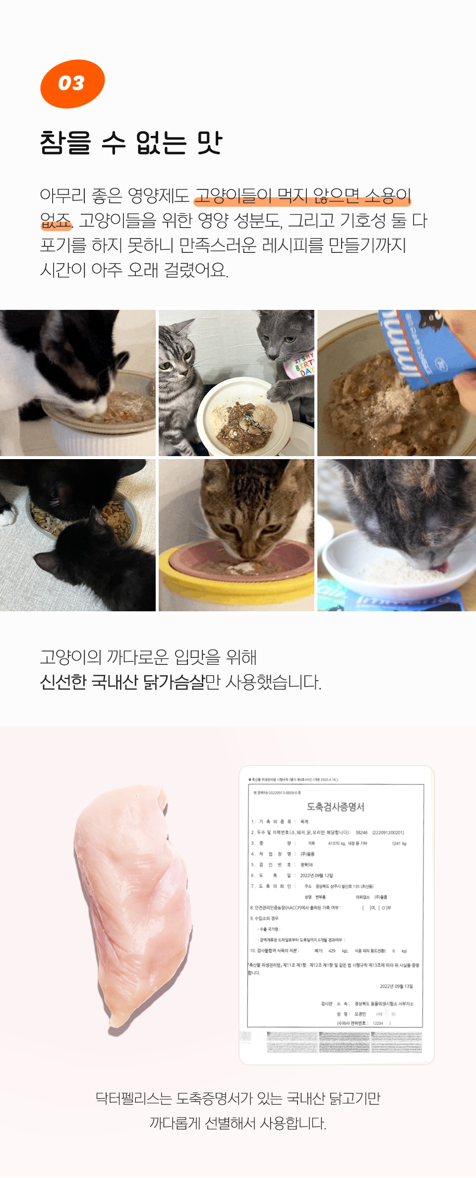 [체험팩] 닥터펠리스 포캣 트릿/파우더 Solution영양제 4p  14번째