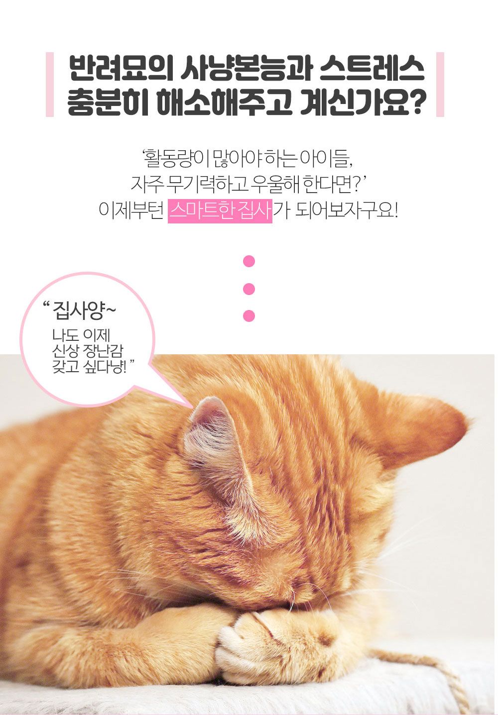 [무료배송] 네이처펫 냥냥이 롤링 캣닢 깃털 오뚝이 2번째