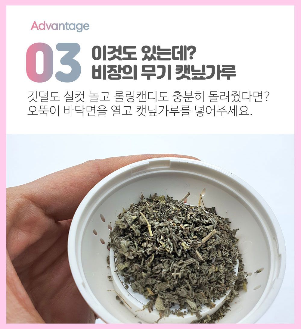 [무료배송] 네이처펫 냥냥이 롤링 캣닢 깃털 오뚝이 5번째