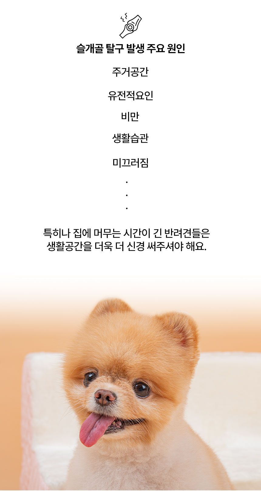 [무료배송] 초코펫하우스 바닐라 퀄팅 스텝 3단 그레이/핑크/아이보리 2번째