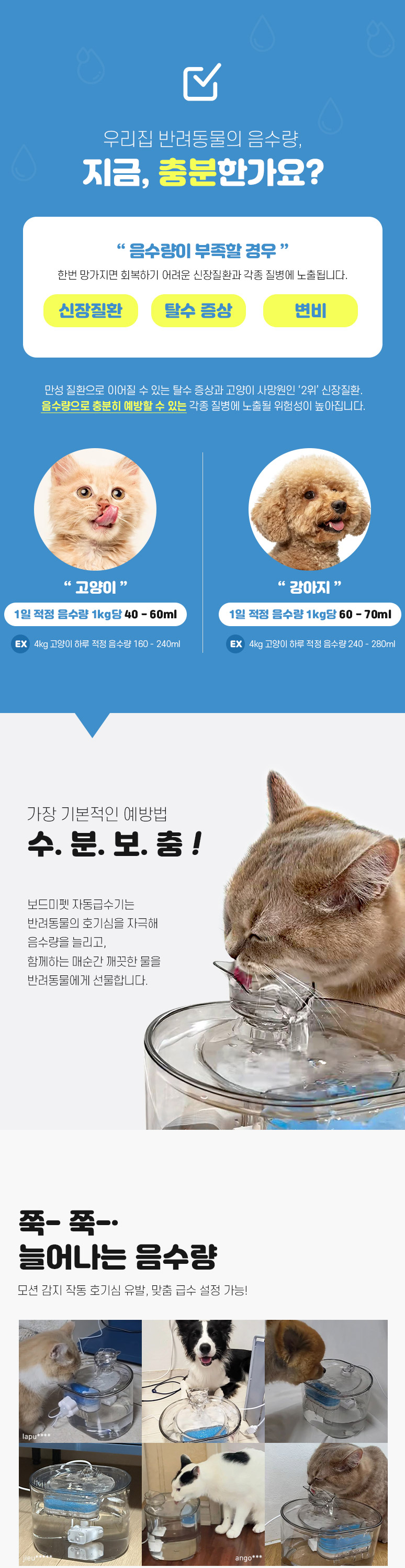 보드미펫 모션센서 자동급수기 시즌2 2번째