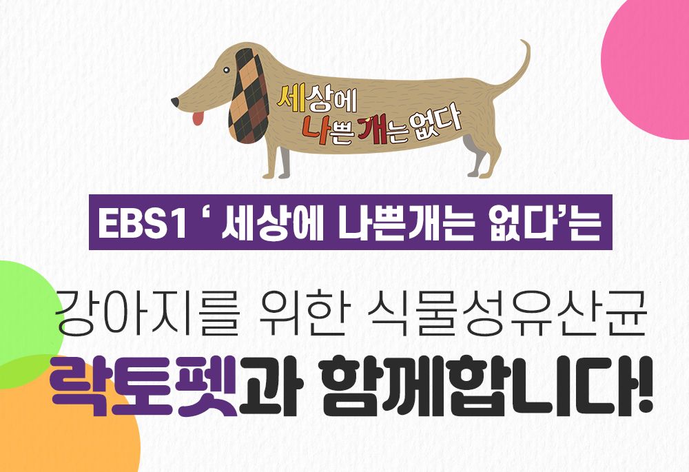 [무료배송] 락토펫 캣 프로바이오틱스 용기형 60g 1번째