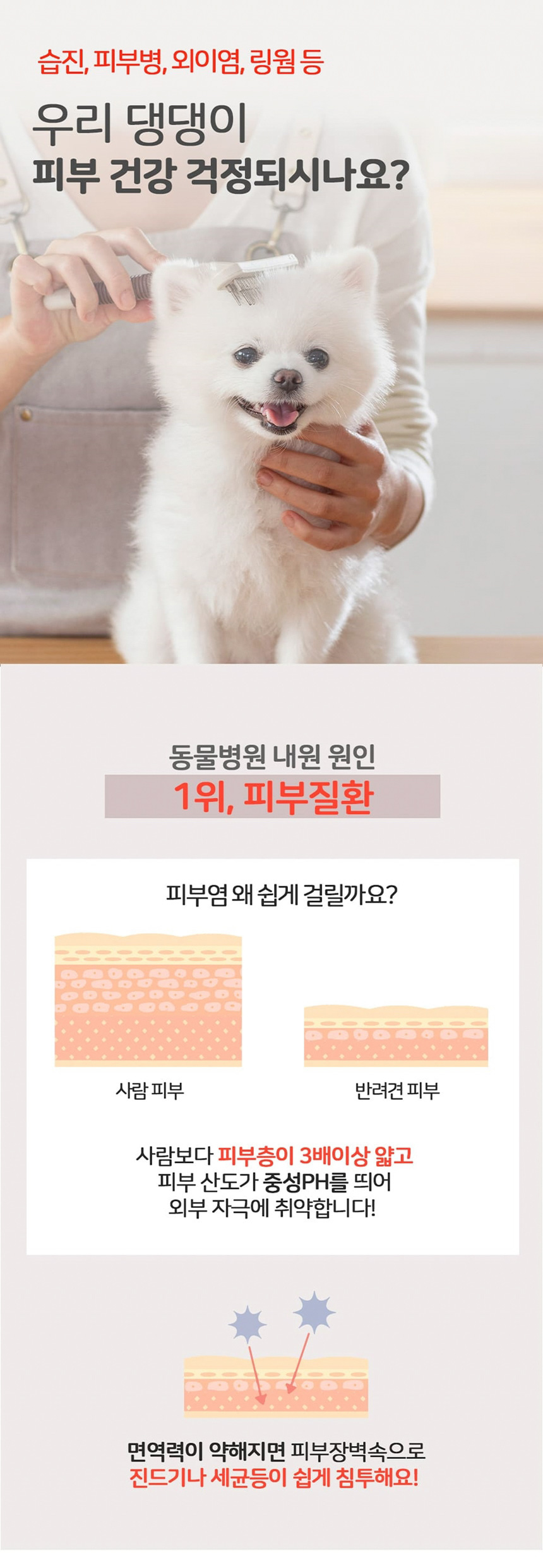 [무료배송] 누터스가든 바이탈 스킨앤코트 120g 강아지영양제 피부 모질 습진 아토피 4번째