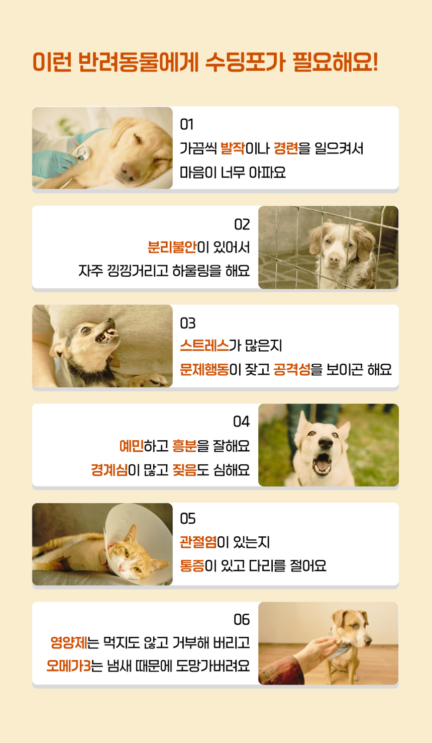 [NEW신상][무료배송] 수딩포 강아지 고양이 CBD 1% 햄프씨드 오일 2번째