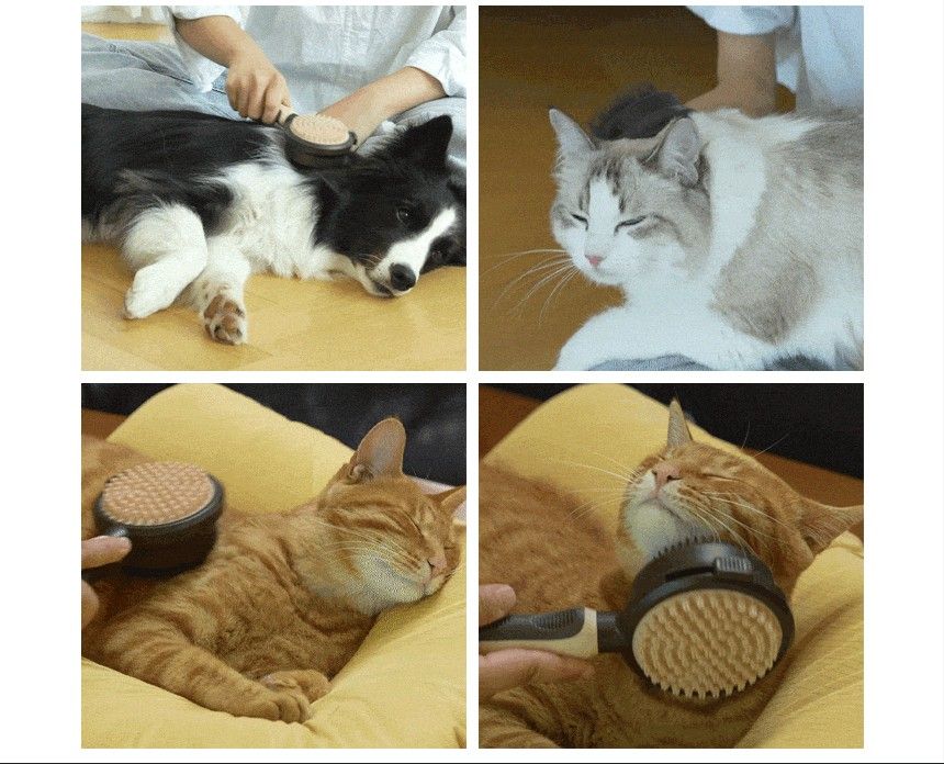 [무료배송] 코코다움 죽은털제거 보송브러쉬 7번째