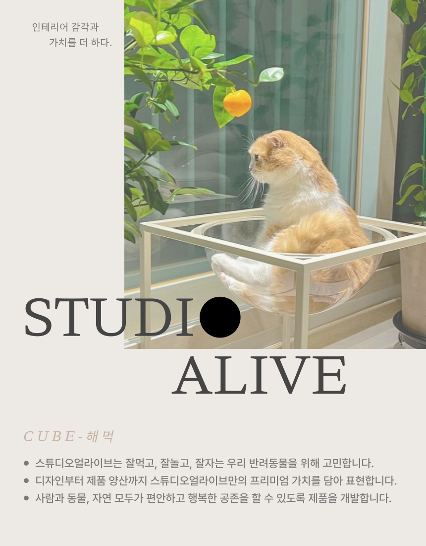 [NEW신상][무료배송] 스튜디오얼라이브 큐브 해먹 1번째