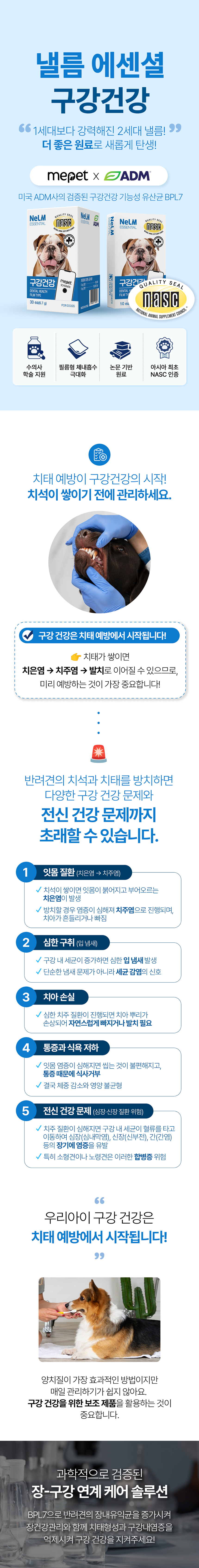 [NEW신상][무료배송] [2개] 미펫 독 낼름 에센셜 구강건강 30매 2번째