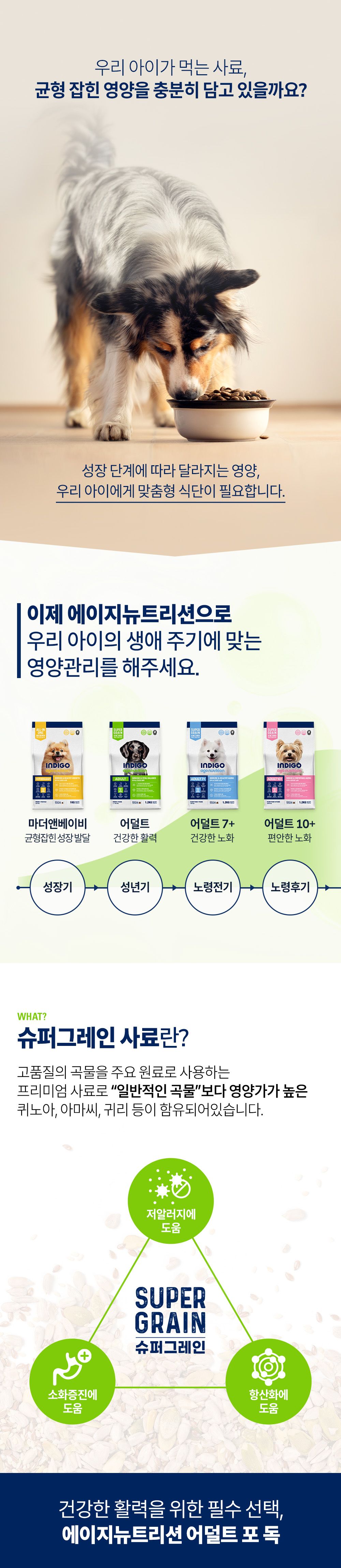 인디고 에이지뉴트리션 어덜트 포 독 1.2kg 1번째