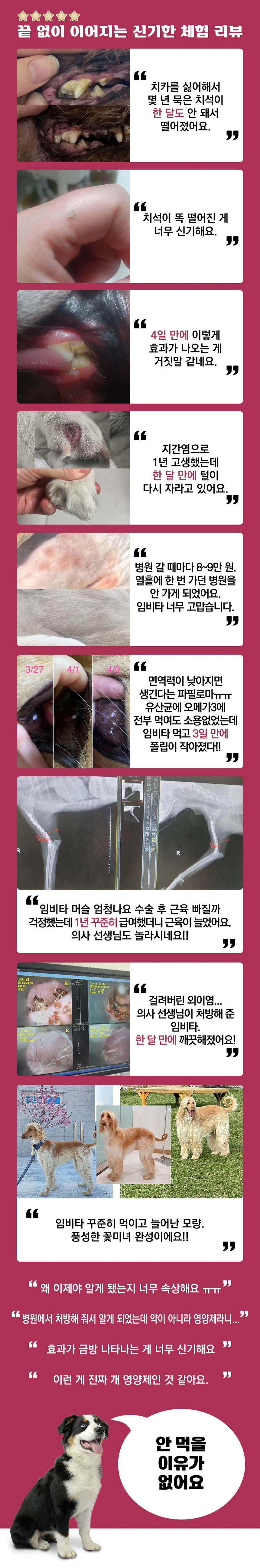 [무료배송] 임비타 독 간기능 영양제 리버+ 500g 4번째