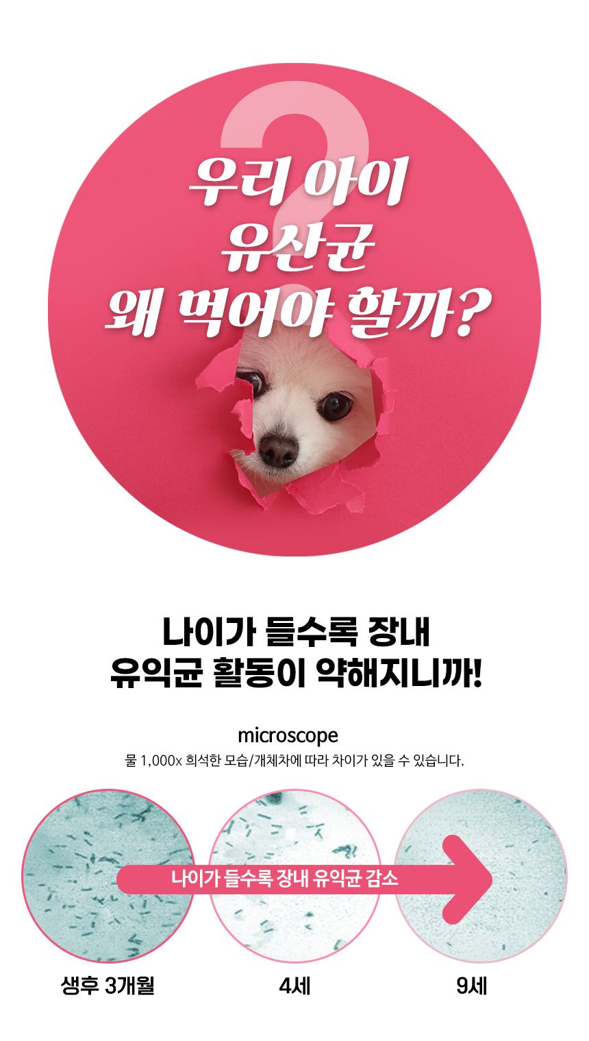 [창고대방출] 브리젠 독 어덜트 연어 1.7kg 7번째