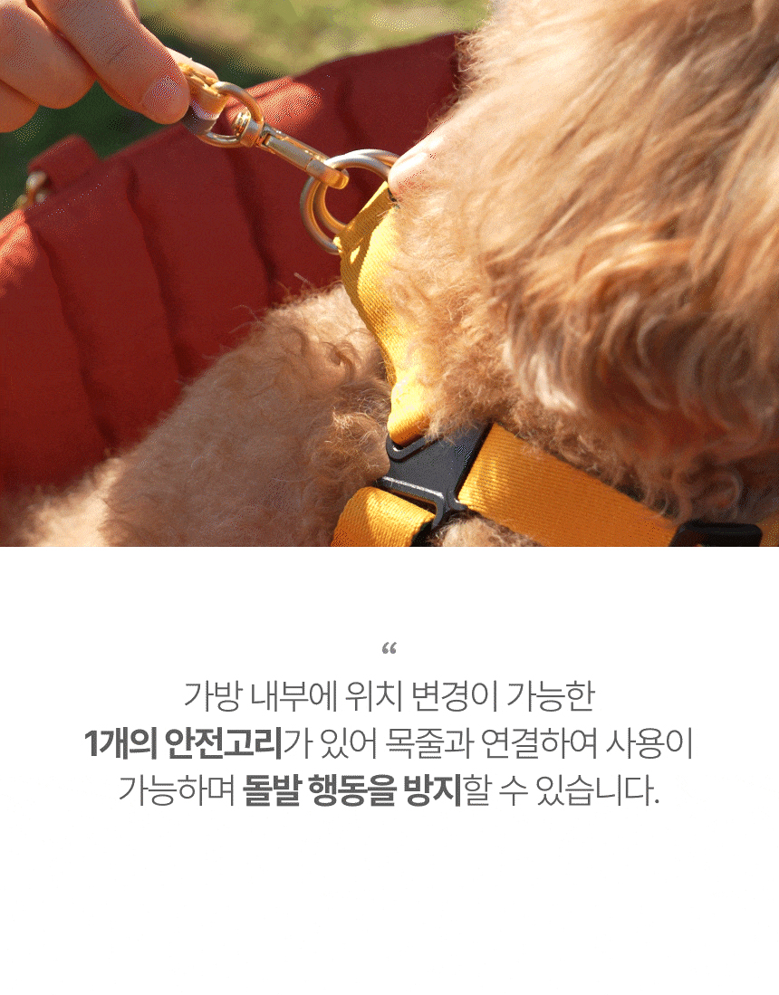 [NEW신상][무료배송] 스펠 독 콘솔 카시트 겸용 튤립 이동가방 20번째
