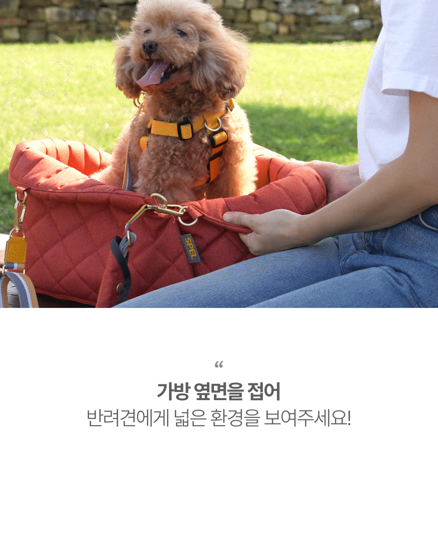 [NEW신상][무료배송] 스펠 독 콘솔 카시트 겸용 튤립 이동가방 19번째