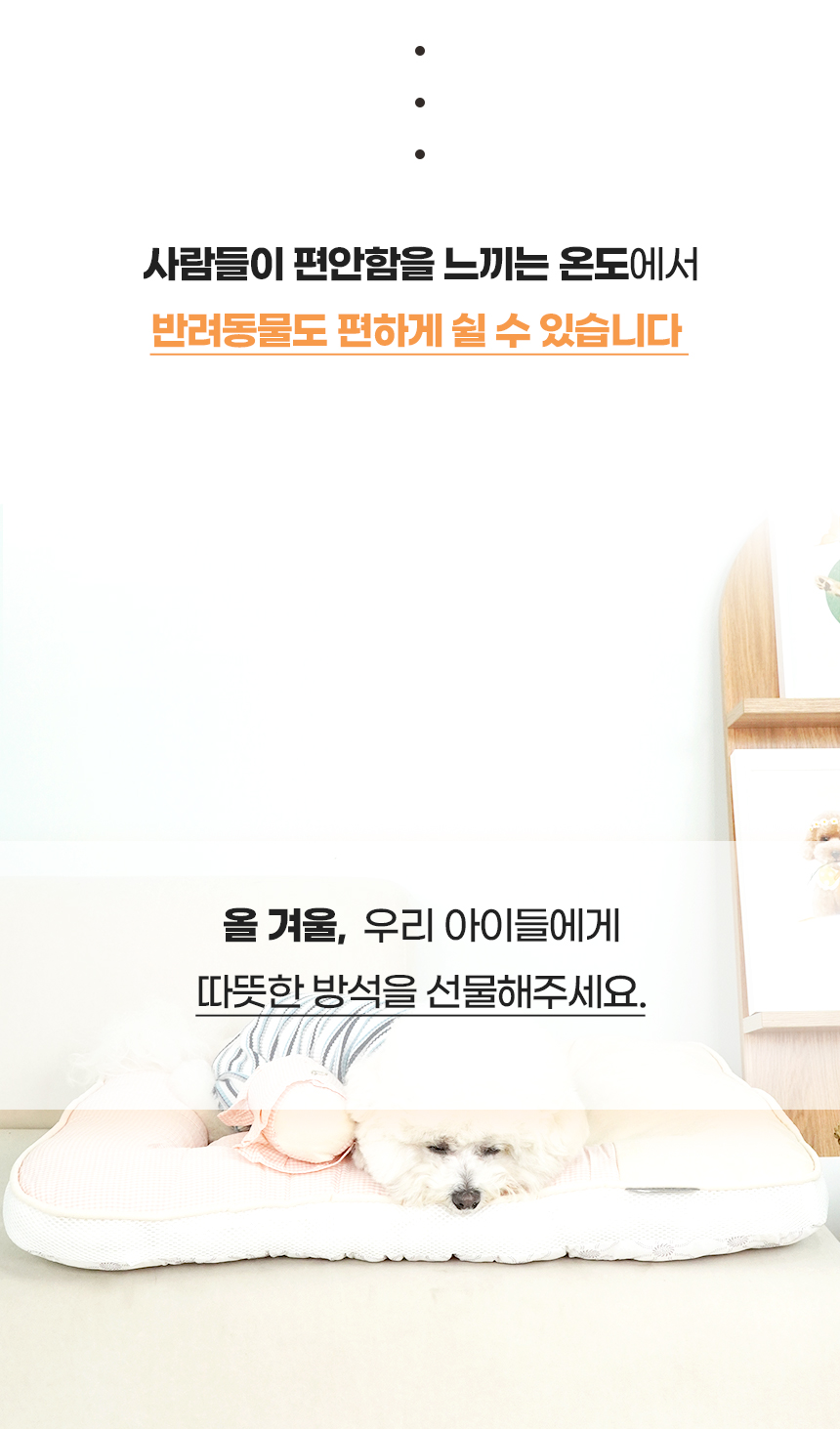 [NEW신상][무료배송] 개과천선 루나 침대 방석 대형 핑크 3번째