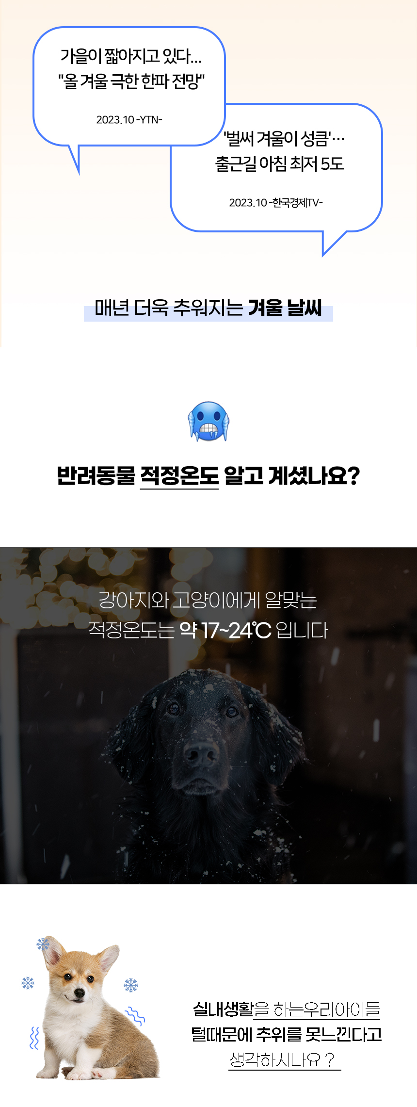 [NEW신상][무료배송] 개과천선 루나 침대 방석 대형 핑크 2번째
