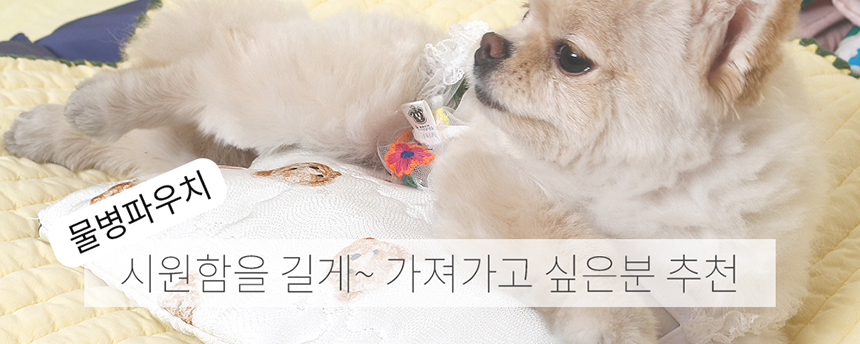 [NEW신상][무료배송] 해피앤퍼피 아이스팩 파우치 3종 (인견/듀라론/물병) 16번째