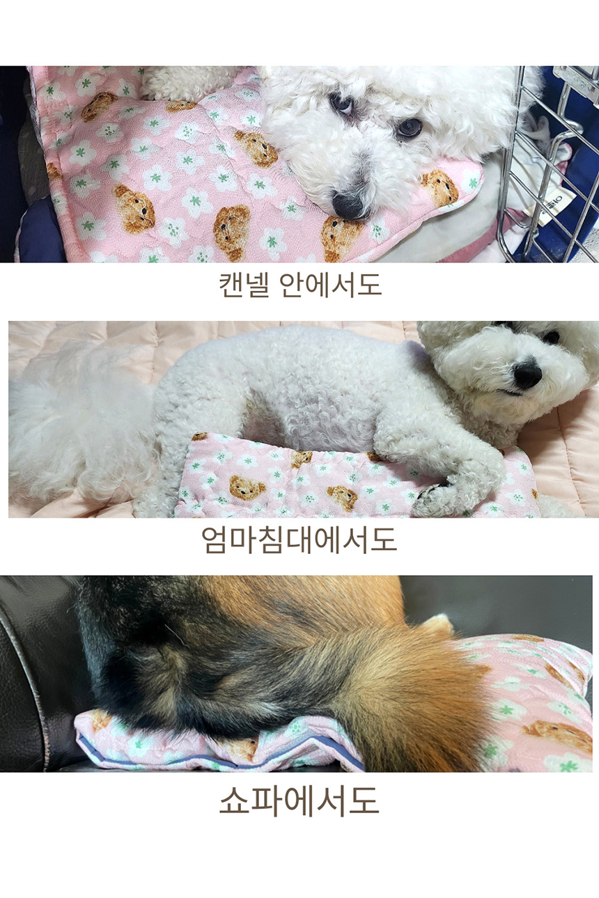 [NEW신상][무료배송] 해피앤퍼피 아이스팩 파우치 3종 (인견/듀라론/물병) 21번째