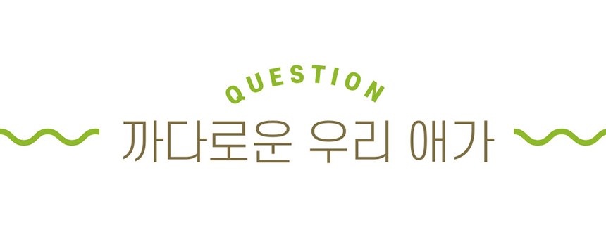 [NEW신상][무료배송] 해피앤퍼피 아이스팩 파우치 3종 (인견/듀라론/물병) 19번째