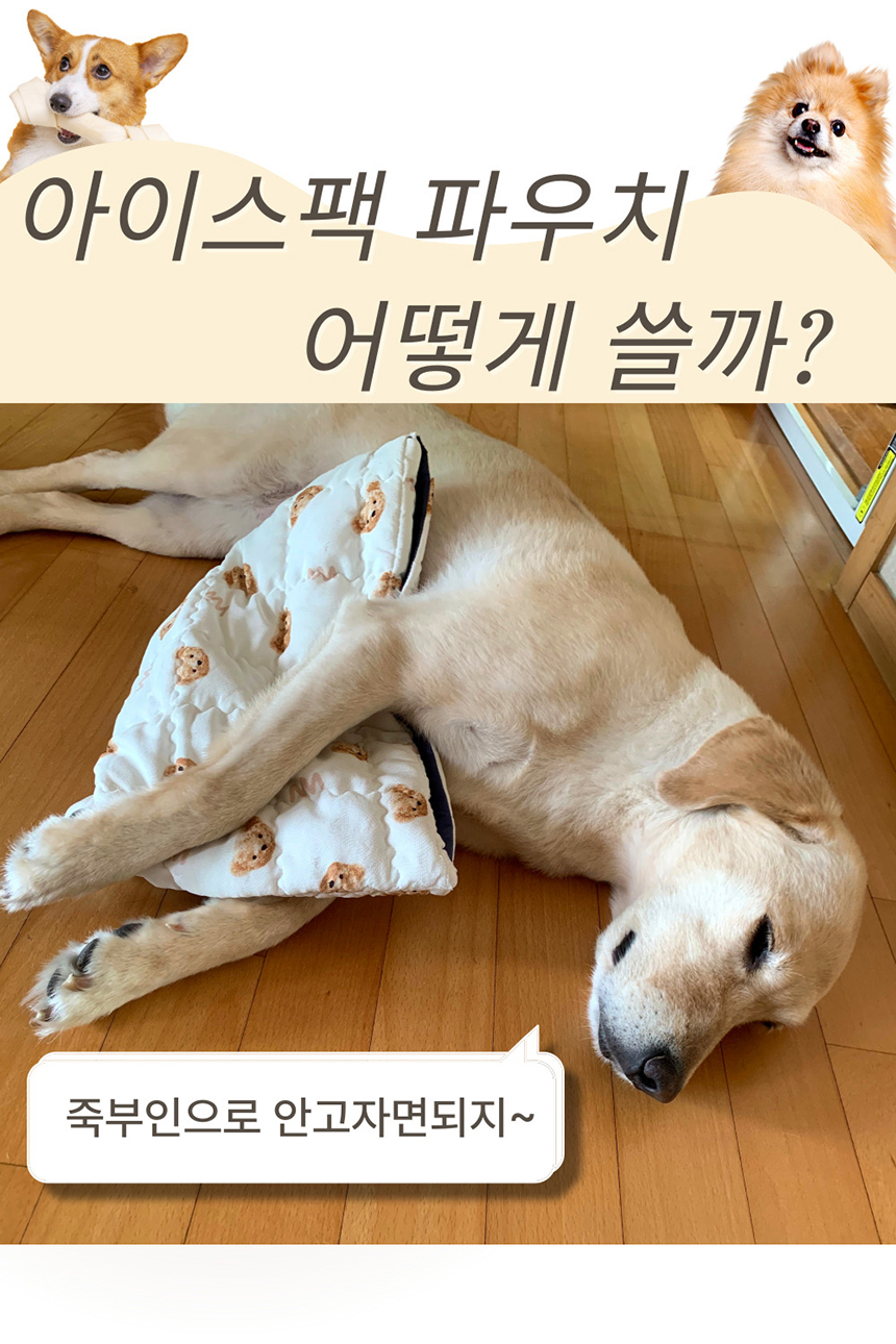 [NEW신상][무료배송] 해피앤퍼피 아이스팩 파우치 3종 (인견/듀라론/물병) 20번째