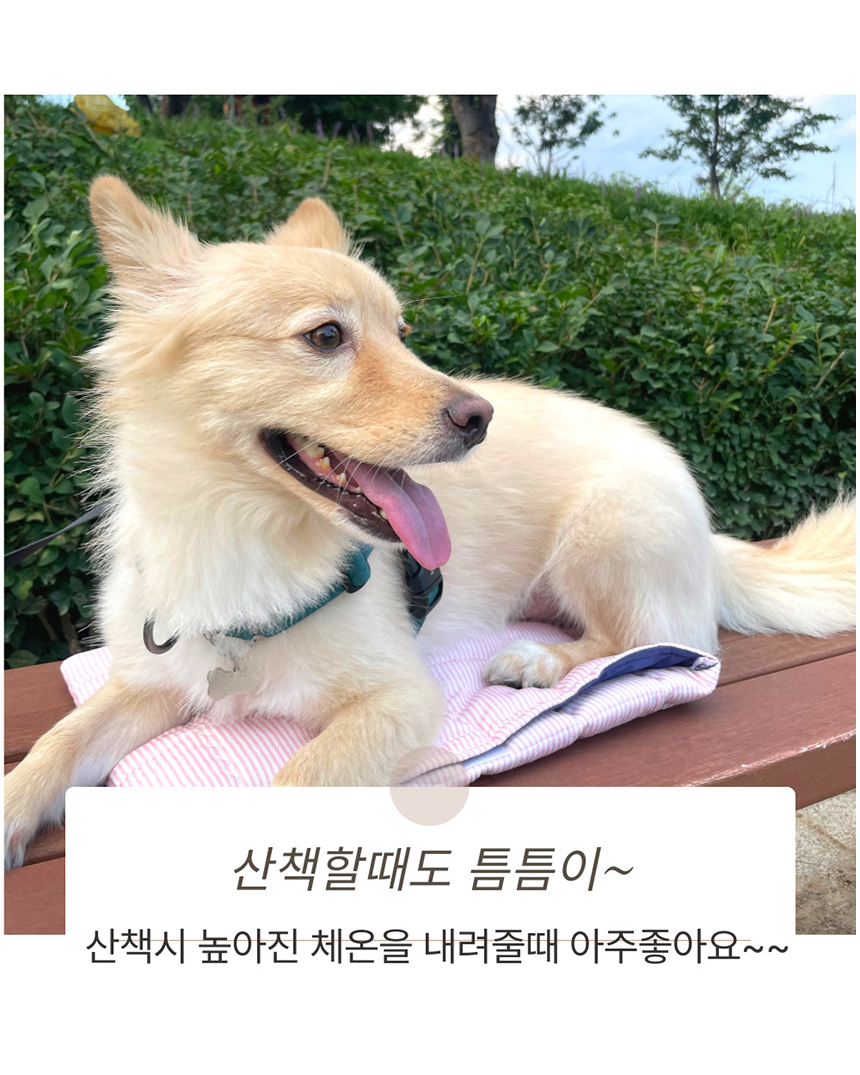 [NEW신상][무료배송] 해피앤퍼피 아이스팩 파우치 3종 (인견/듀라론/물병) 23번째