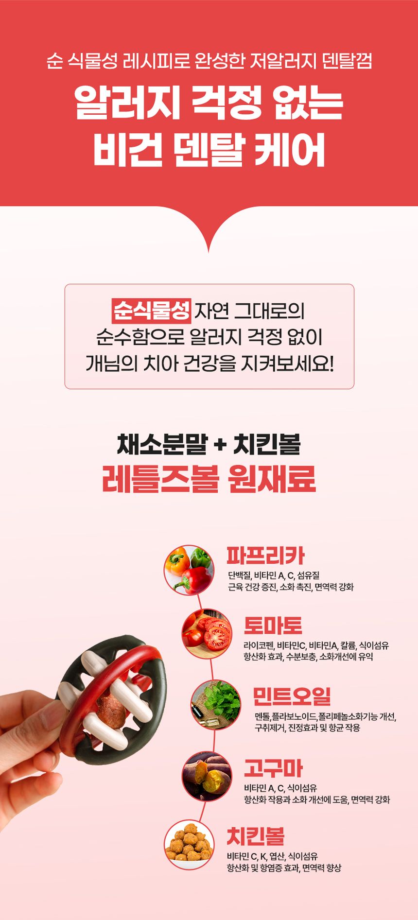 [NEW신상][무료배송] 개님의상점 중박스 개님의껌 레틀즈볼 7p 21번째
