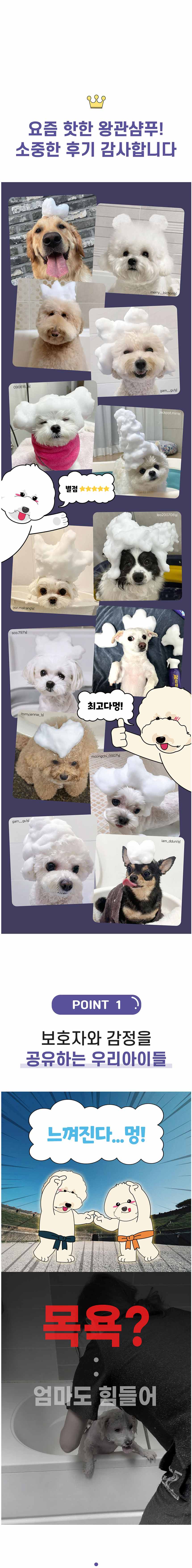 [무료배송] 해밀펫 왕관샴푸 300ml 2번째