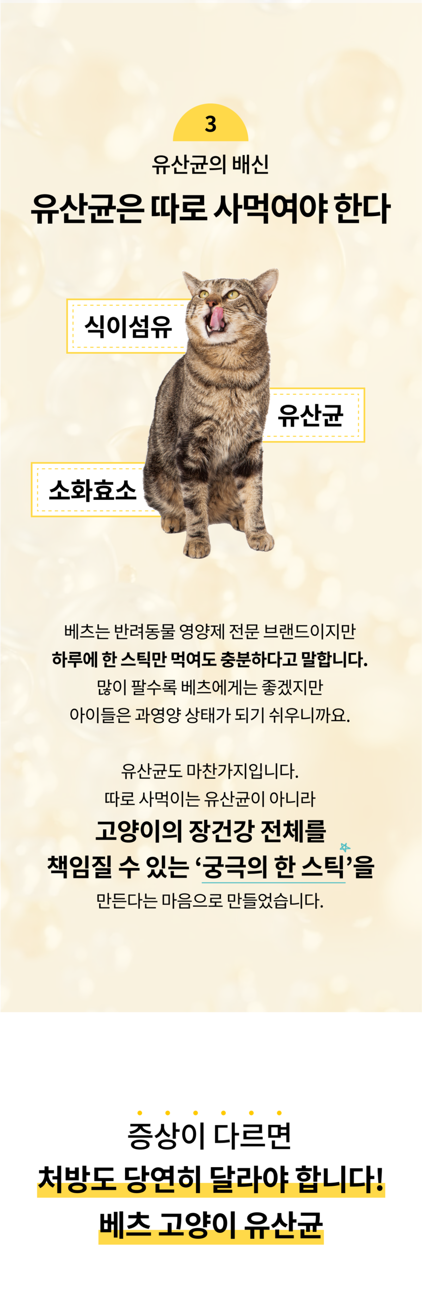 베츠 캣 유산균 민감한아이 30p 5번째