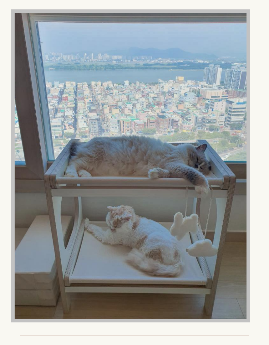 [NEW신상][무료배송] 위드미어캣 광폭해먹 XL 24번째