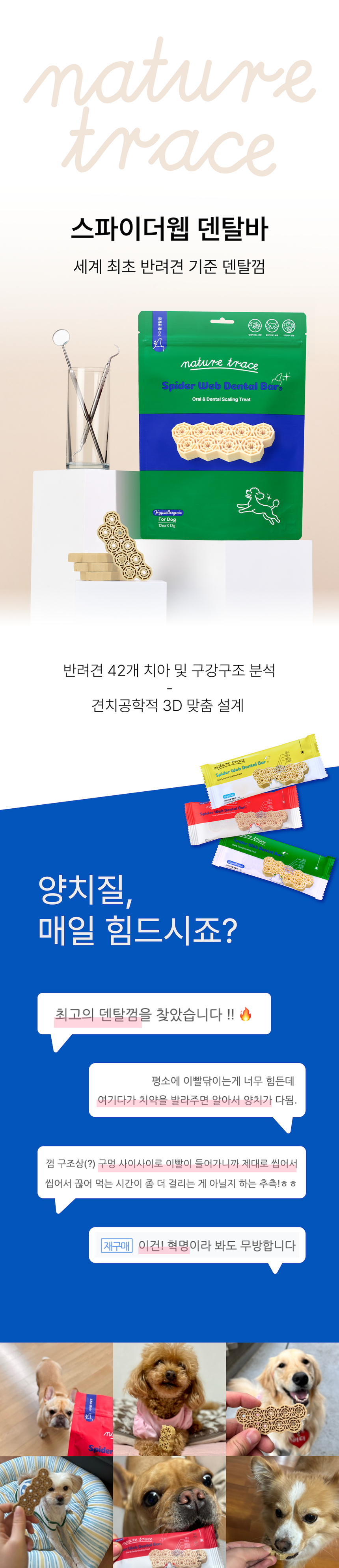 [체험단] [무료배송] 네이처트레이스 독 스파이더웹 덴탈바 하이포알러제닉 12개입 4번째