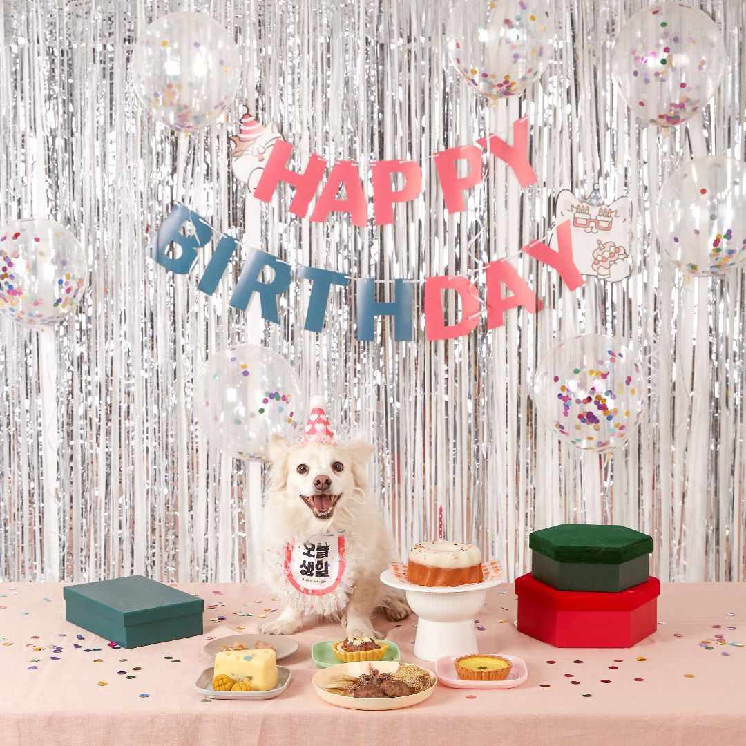 펫프굿즈 내새꾸 생일 케이프 4번