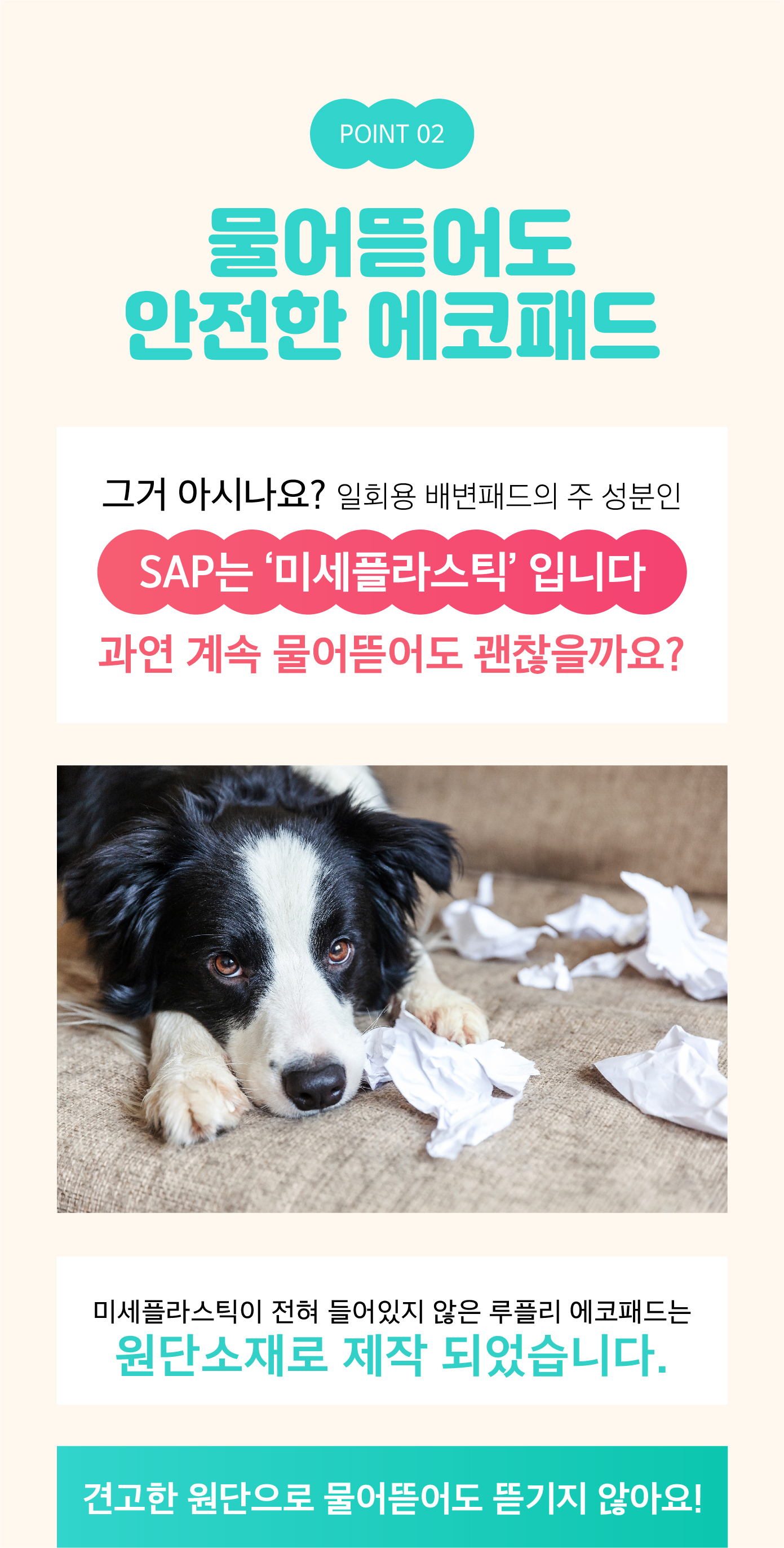[무료배송] 루플리 빨아쓰는 배변패드 에코패드 아이보리/민트/연핑크 3장 10번째