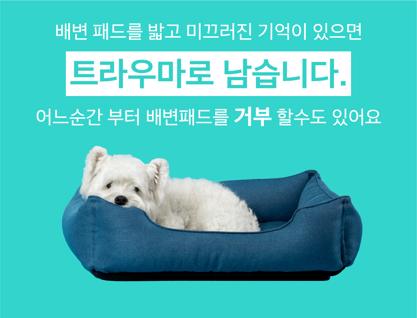 [무료배송] 루플리 빨아쓰는 배변패드 에코패드 아이보리/민트/연핑크 3장 9번째