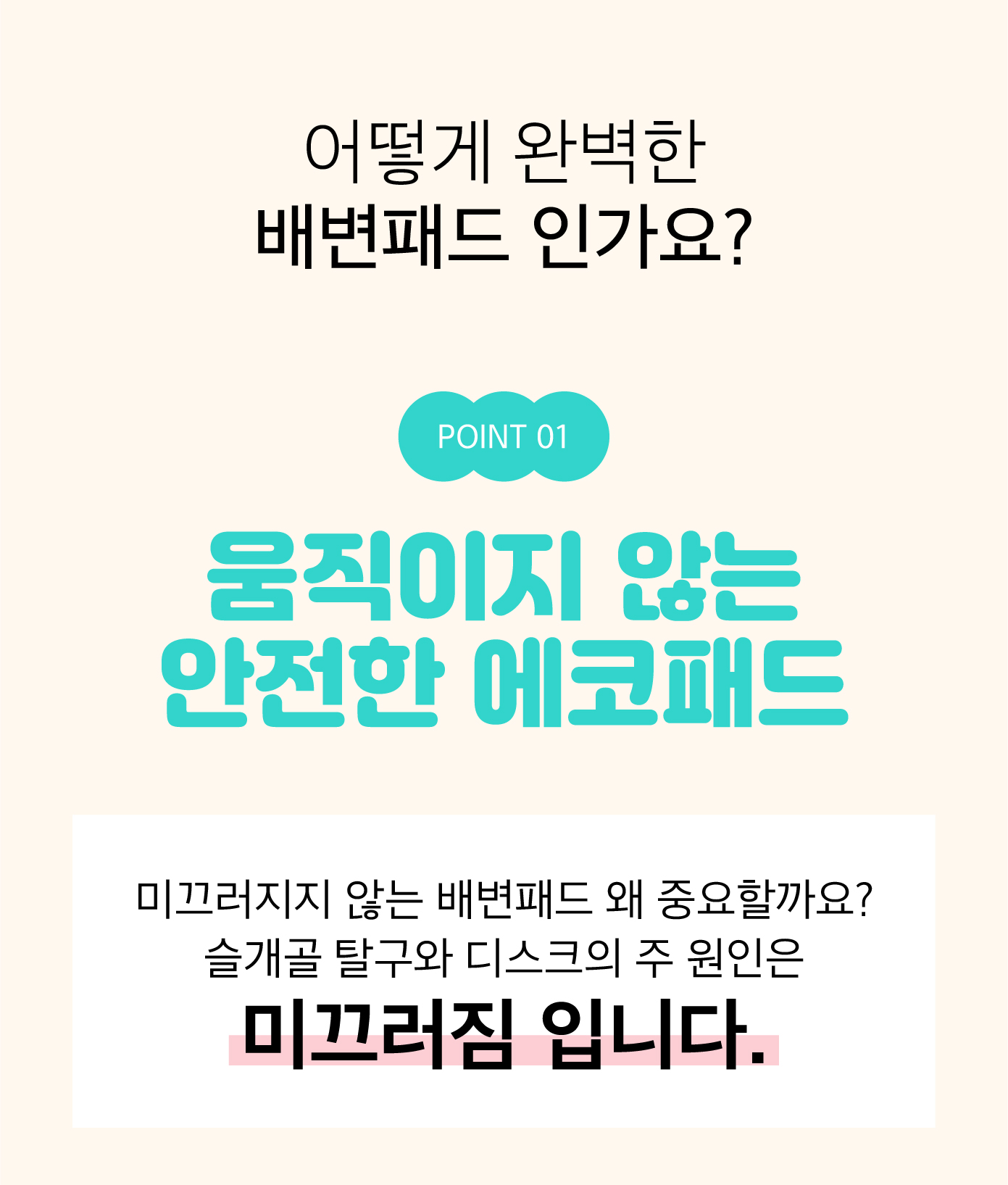 [무료배송] 루플리 빨아쓰는 배변패드 에코패드 아이보리/민트/연핑크 3장 4번째