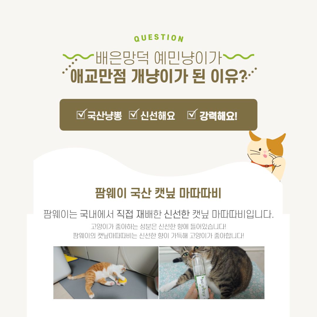 팜웨이 완전 마따따비 스프레이 50ml 6번째